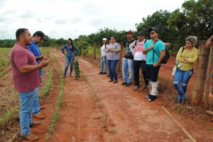 Curso (5)