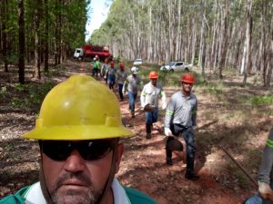 PREVENÇAO E COMBATE A INCENDIOS@